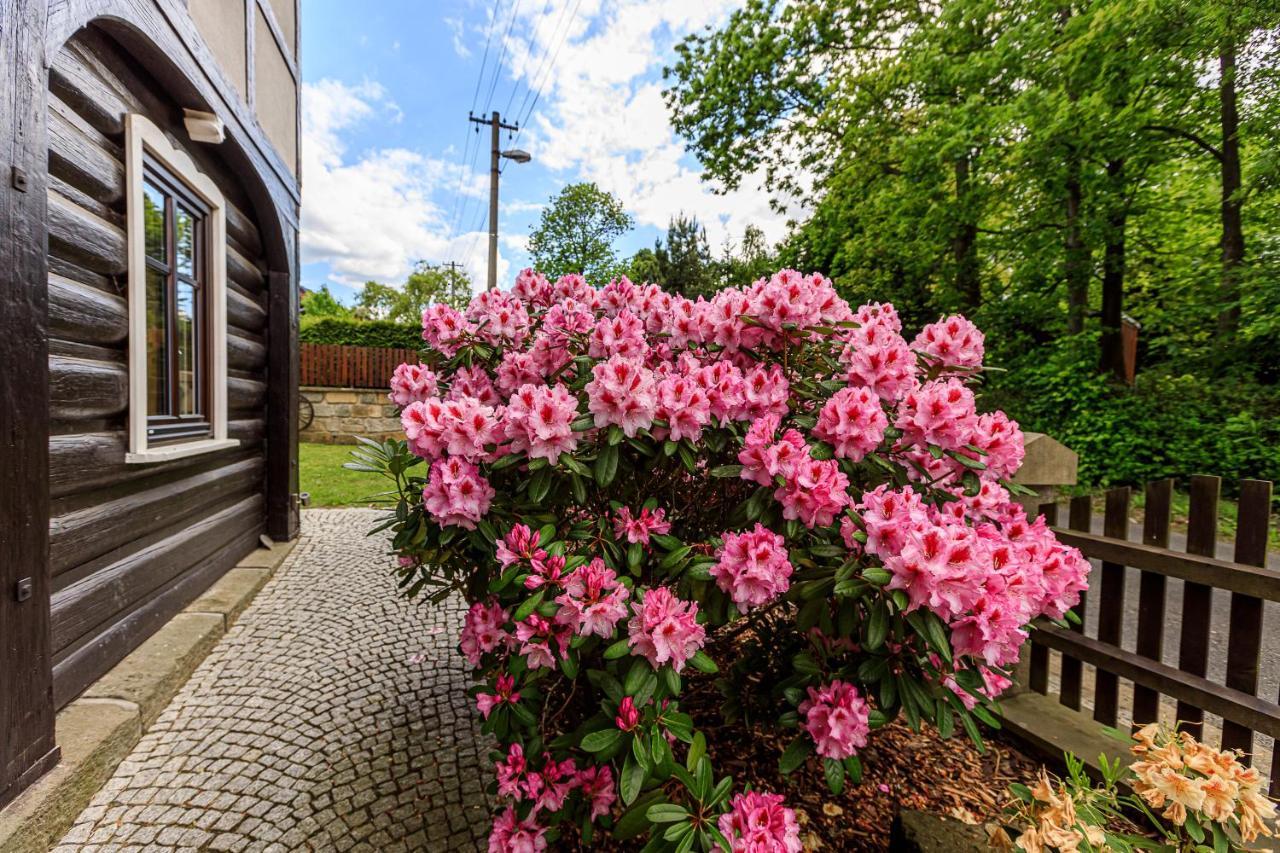 Apartmány Jožák Arnoltice u Decina Exterior foto